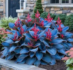 Хоста Грин Фог купить по цене от 669р. в интернет-магазине «Посадика» с доставкой почтой в в Новый Осколе и по всей России – [изображение №1].